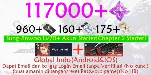 Gambar Product Akun Timbunan solo leveling arise-2