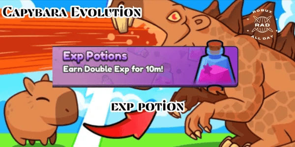 Exp Potions