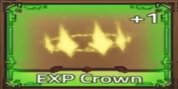 EXP Crown