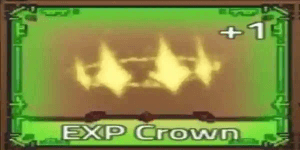 EXP Crown