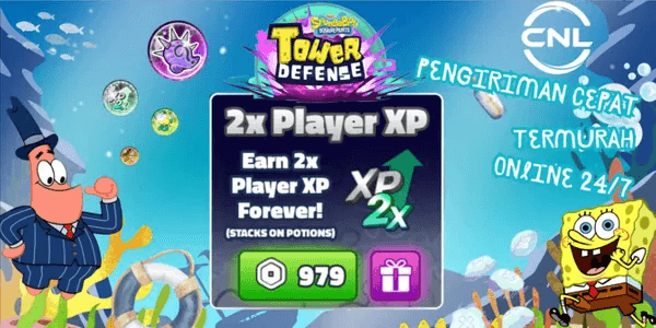 2x Player XP