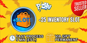 Inventory Slot