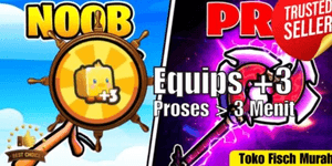 Equips+3