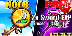 2x SwordExp