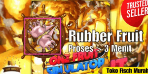 Rubber Fruit