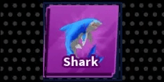 Shark