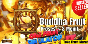 Buddha Fruit