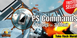 Private Servers
