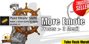 More Emote Slots