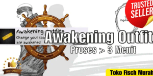 Awakening Outfits