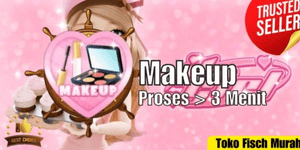 Makeup
