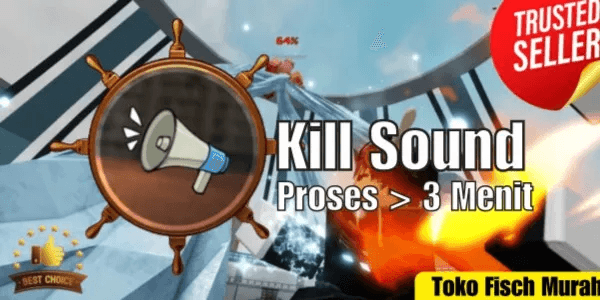 Custom Kill Sounds