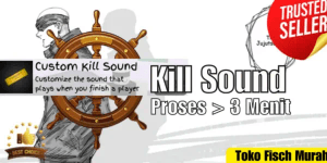 Custom Kill Sound
