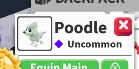 Gambar Product Poodle