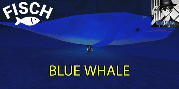 Gambar Product Blue Whale - Fisch