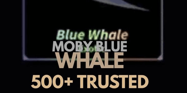 Gambar Product Blue Whale