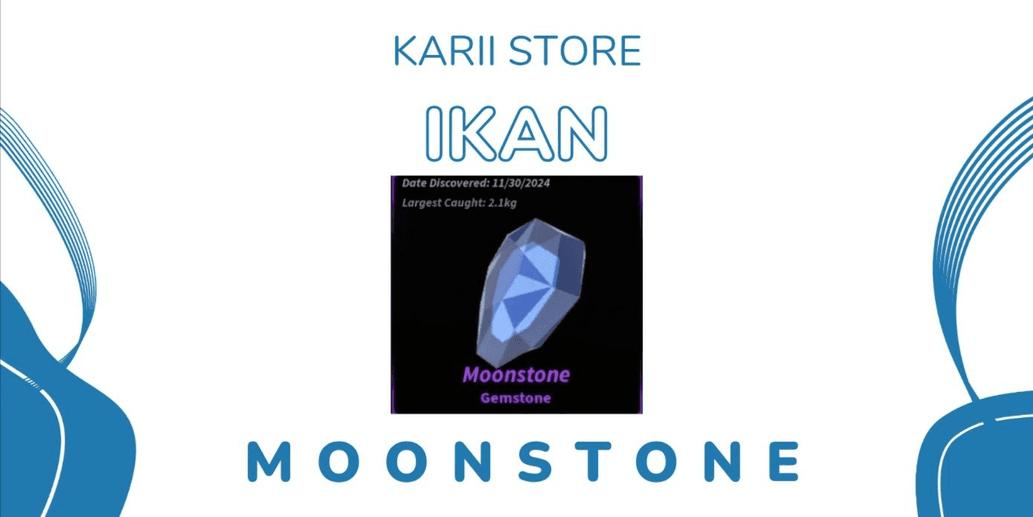 Product Showcase