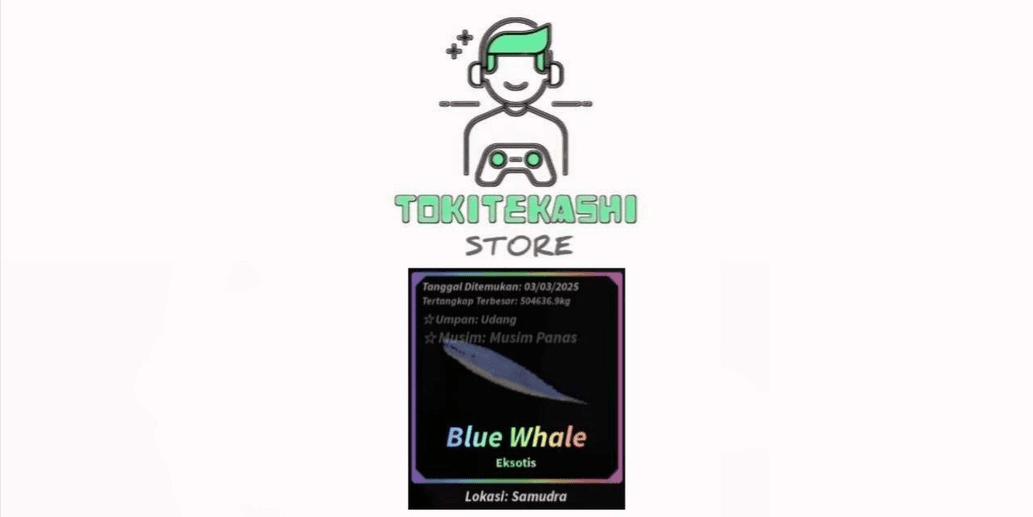 Product Showcase