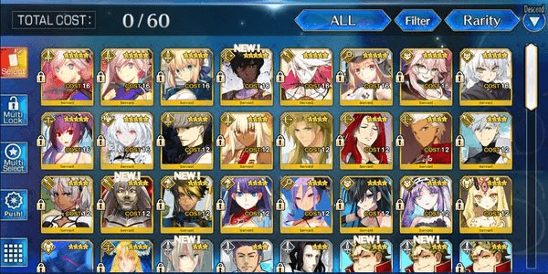 Gambar Product [NA][Starter] Musashi NP2 + Castoria + Koyanskaya + Skadi Summer + Lady Avalon