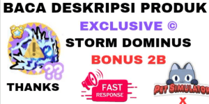 STORM DOMINUS - TRANSFERRED