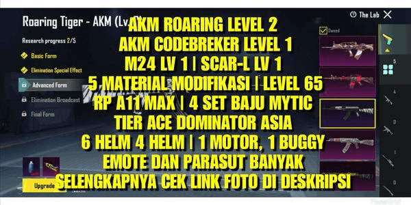 Gambar Product PUBG TIER ACE ASIA A2