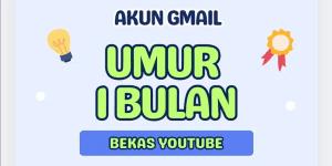 Fresh non-PVA Google Account
