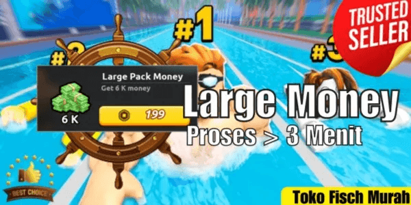 Large Pack Money
