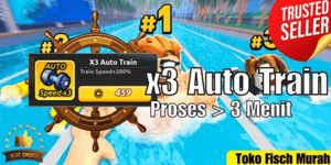 x3 Auto Train