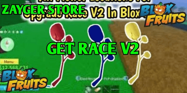 Gambar Product Jasa Race V2