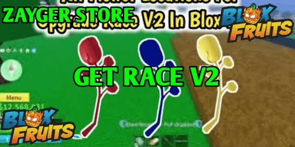 Jasa Race V2