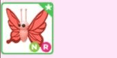 Gambar Product Scarlet Butterfly NR Adopt Me