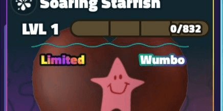 Gambar Product Soaring Starfish (Wumbo)