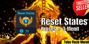 Reset States