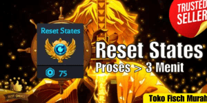 Reset States