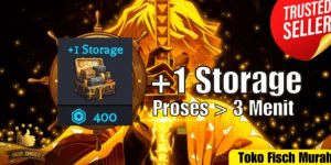 +1 Storage