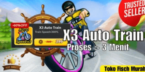 X3 Auto Train