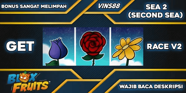 Jasa Race V2