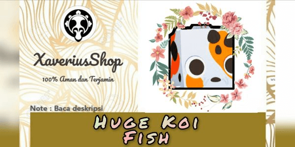 Gambar Product Huge Koi Fish