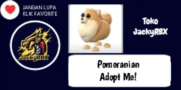 Pomeranian