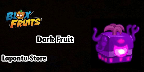 Gambar Product Dark Fruit [Blox Fruit]