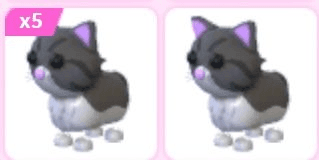 Gambar Product Persian Cat
