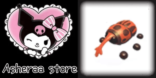 Weevil (Pet)