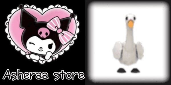 Gambar Product Swan