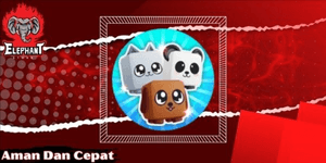 Extra Equips