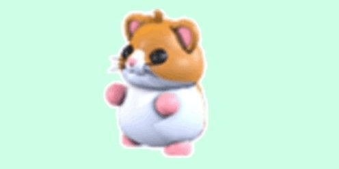 Gambar Product Hamster