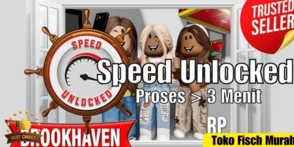 Gambar Product Vehicle Speed Unlocked
