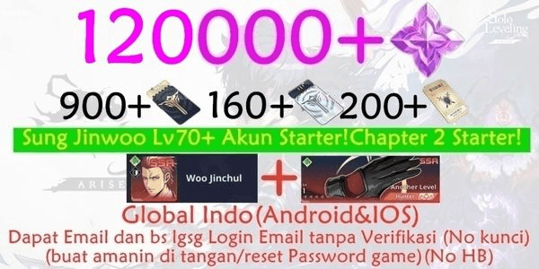 Gambar Product Solo leveling hoard account arise-2