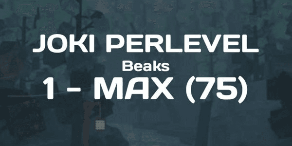Gambar Product Joki Per Level 1-75