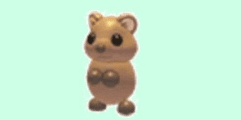 Gambar Product Quokka