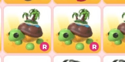 Gambar Product Tortoise of the Island (Pet)